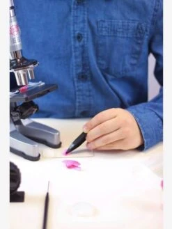 Microscope - 30 Expériences BUKI Rouge - Buki -Enfants Jouets Magasin microscope 30 experiences buki 4